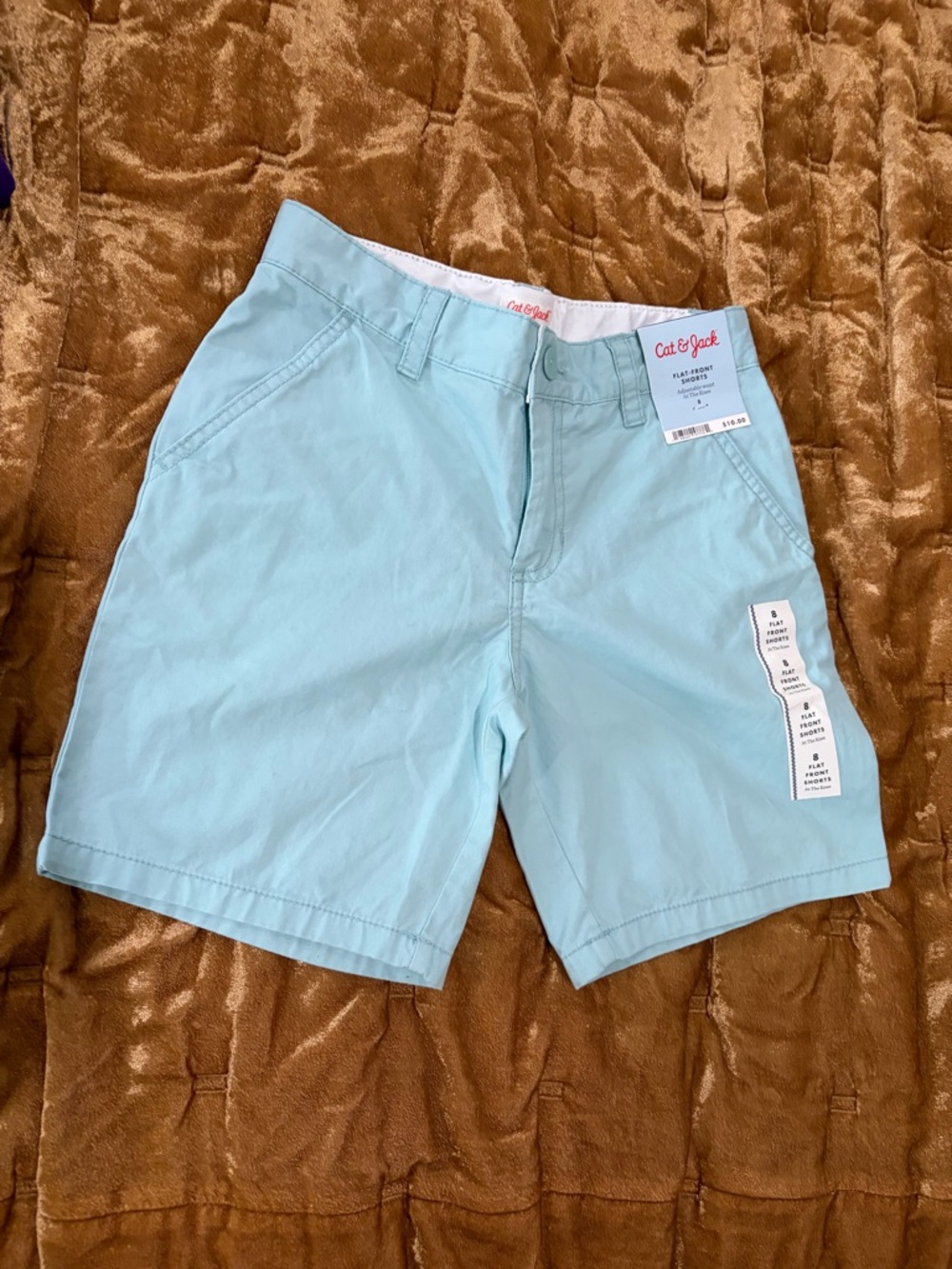Cat & Jack Light Aqua Kids Flat-Front Shorts
